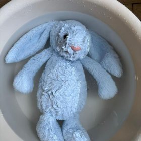 Ginger Berry Plushie Shampoo (Buy 1 Free 1) photo review