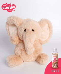 Ginger Berry Ellie The Listener (Free 100ml Shampoo)