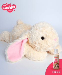 Ginger Berry Mochi The Dreamer (Free 100ml Shampoo)